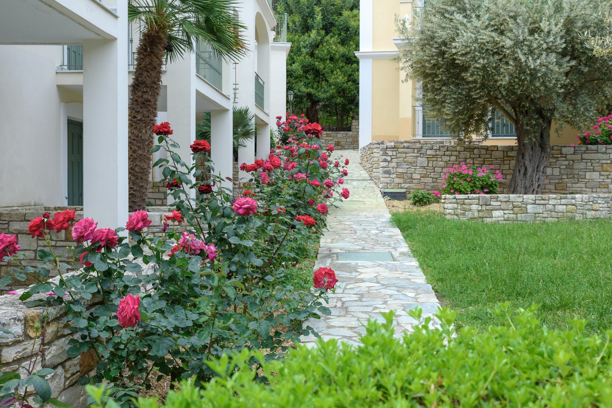 Vrontádos Kyveli Hotel Apartments מראה חיצוני תמונה